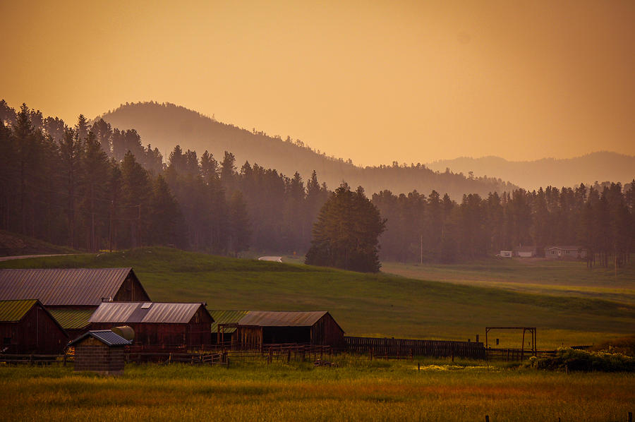 Beauty Of Black Hills, South Dakota Photograph by Art Spectrum