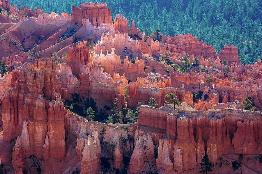 Beauty Of Bryce Canyon Photograph