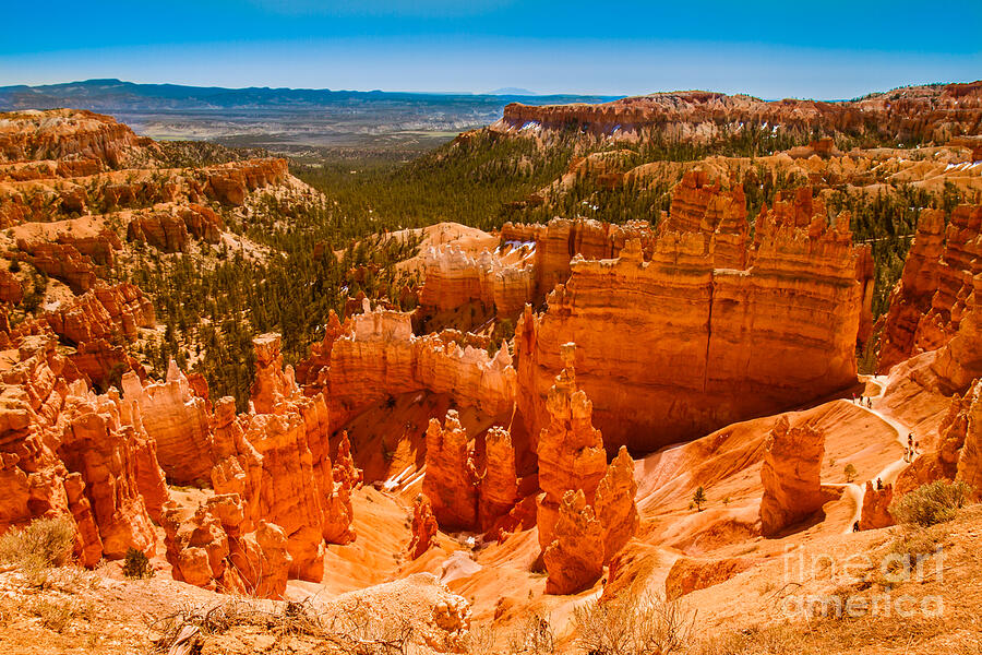 Beauty Of Bryce Canyon Photograph by Robert Bales