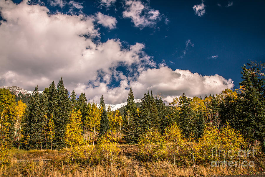 Beauty Of Fall Photograph by Robert Bales