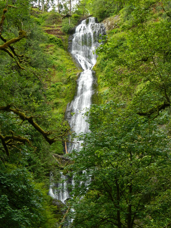 Beauty Of Munson Creek Falls Photograph by Gallery Of Hope 