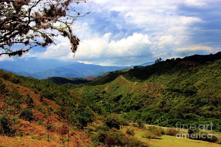 Beauty Of The Valle De Cauca, Colombia Photograph by Al Bourassa
