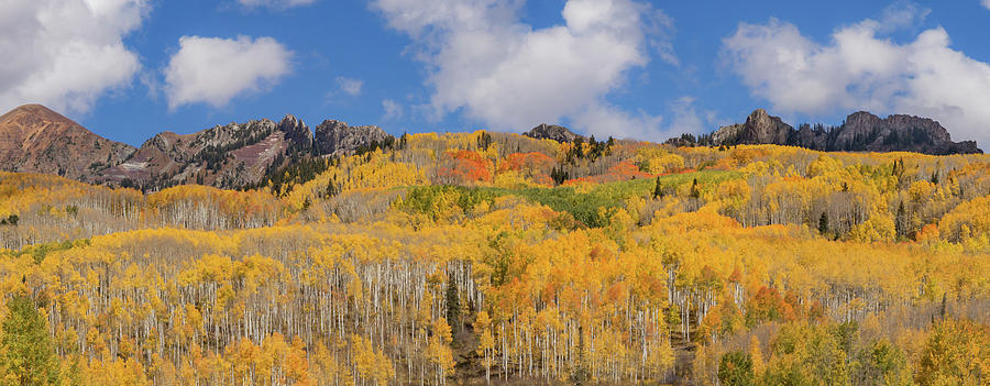 Fall Photograph - Beauty on Kebler Pass by Jared Perry