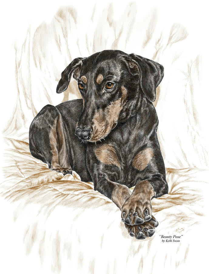 Beauty Pose - Doberman Pinscher Dog with Natural Ears Drawing by Kelli Swan