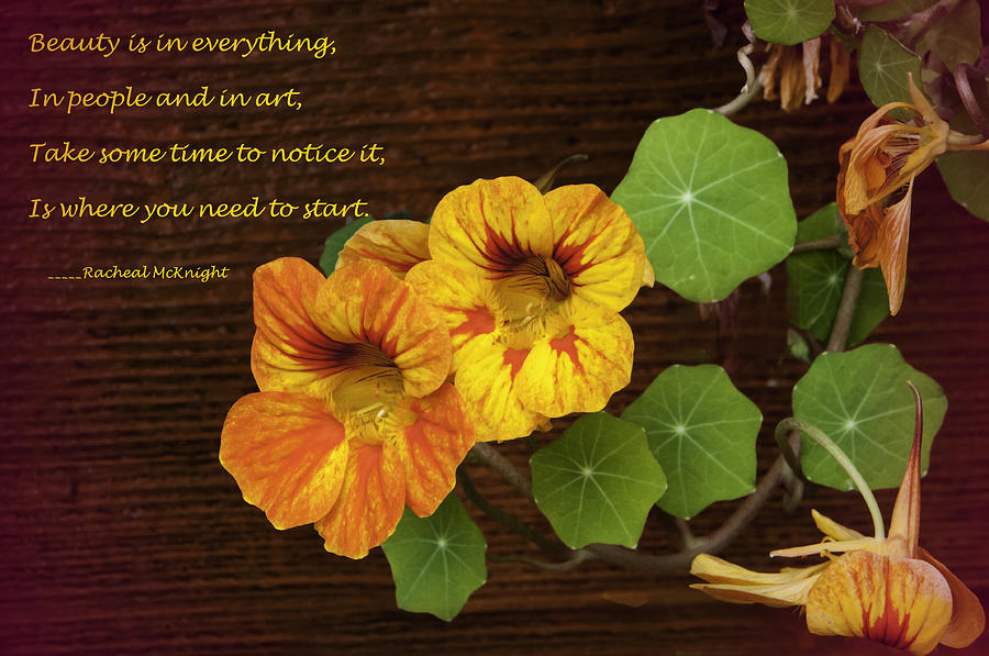 Flower Photograph - Nasturtium and Beauty Text by Phyllis Taylor