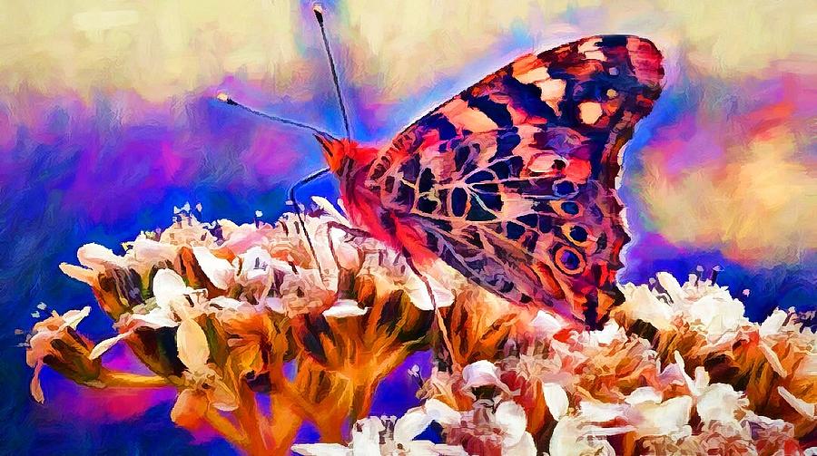 Beautyfly Digital Art by Michael Borich - Fine Art America