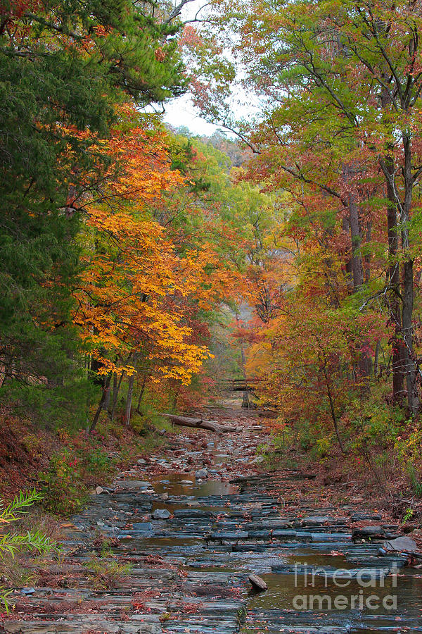 Autumn Creek Photograph by Jerry Bunger