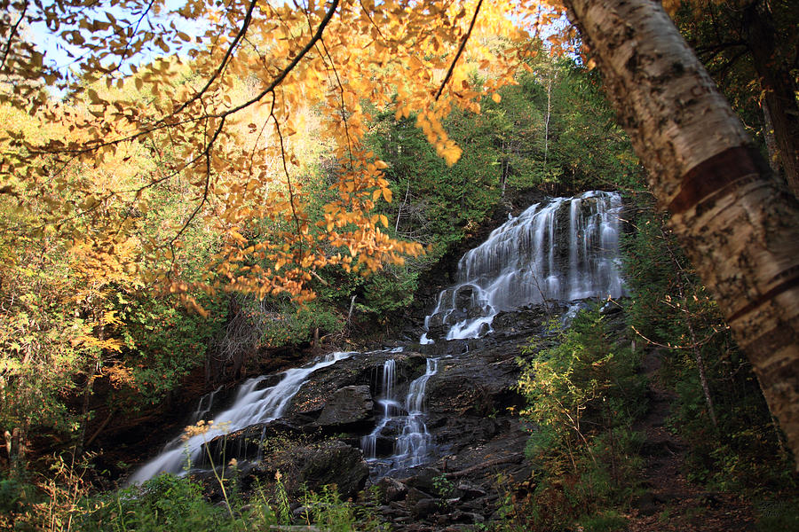 Beaver Creek Falls Photograph by Brett Pelletier