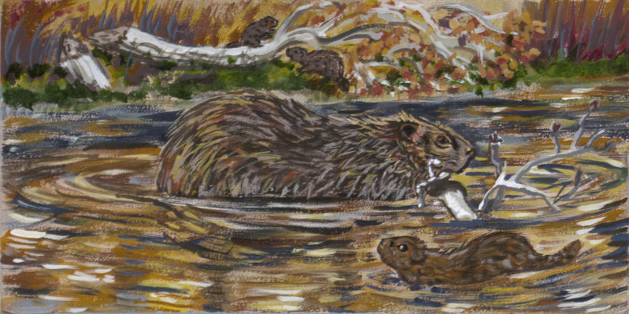 Beaver Family Animal Vignette Painting by Dawn Senior-Trask