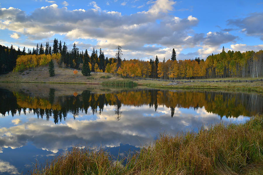 Beaver Lake Reflection Photograph by Ray Mathis