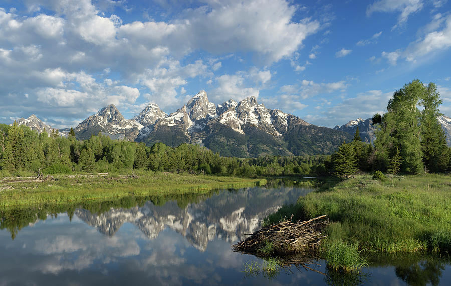 Beaver Lodge and Tetons Photograph by George Sanquist - Fine Art America