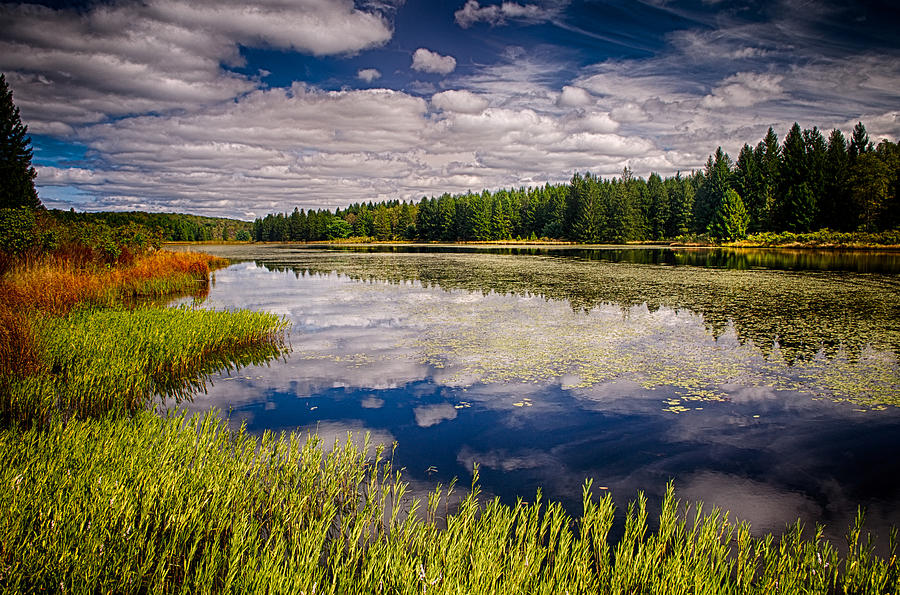 Beaver Meadow 1 Photograph by Bill