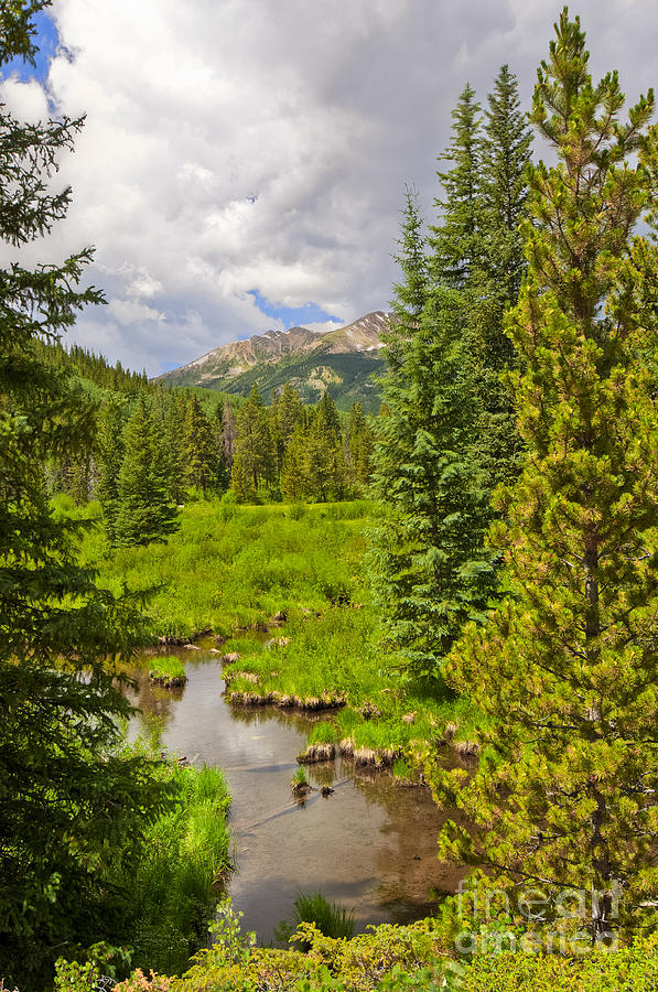 Beaver Pond and Mountain Photograph by David Waldrop