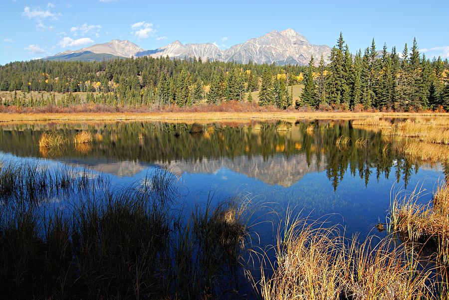 Jasper National Park Photograph - Beaver Pond and Pyramid Mountain by Larry Ricker