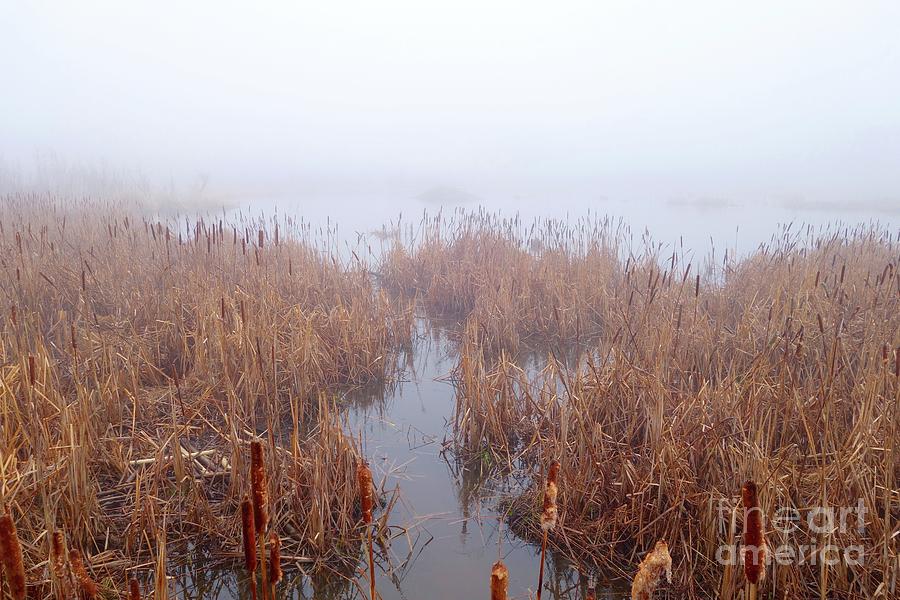 Beaver Pond Fog Photograph by Sandra Updyke
