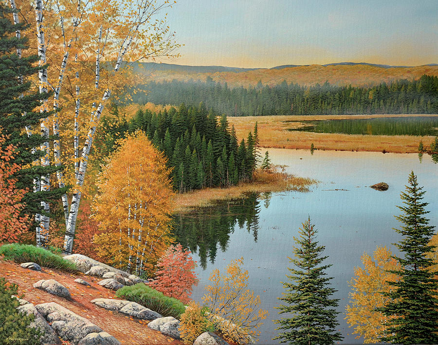Beaver Pond Lookout by Jake Vandenbrink Beaver Pond Lookout by Jake Vandenbrink