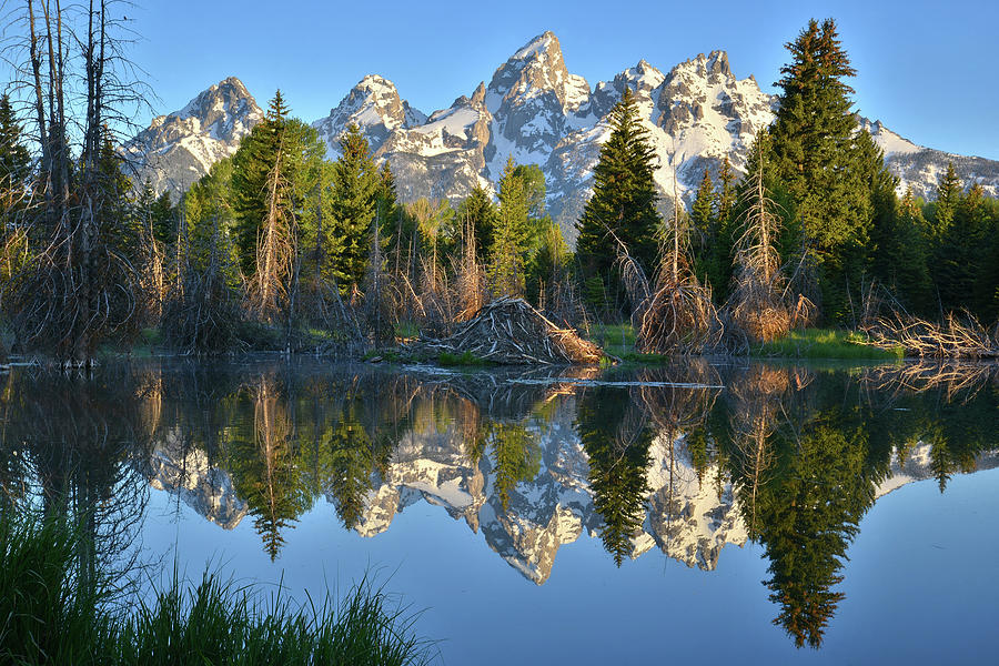Beaver Pond Reflection in Grand Teton Photograph by Ray Mathis