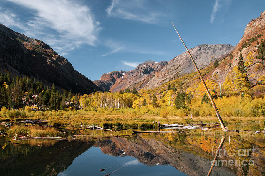 Beaver Pond, Upper Lundy Canyon, Mono County, CA Photograph by Marge ...