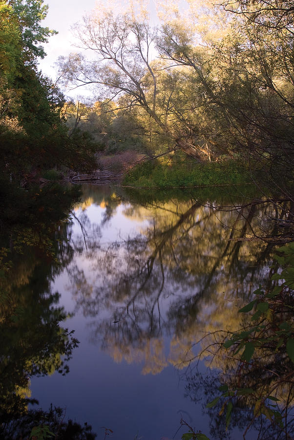Beaver River calm reflection Photograph by Steve Somerville