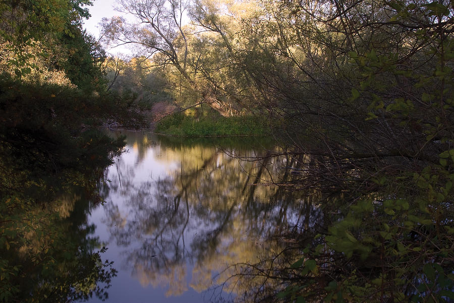 Beaver River reflection Photograph by Steve Somerville