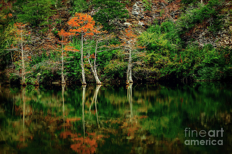 Beavers Bend Color Explosion Photograph by Tamyra Ayles