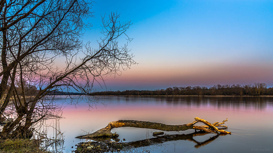 Sunset Photograph - Beavers Work Reflected by Julis Simo