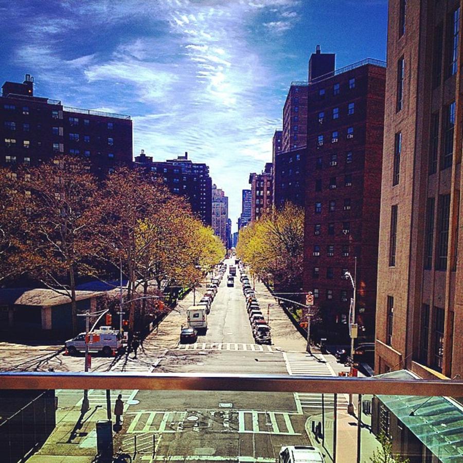 New York City Photograph - Highline Park by Mckenzie Weldon