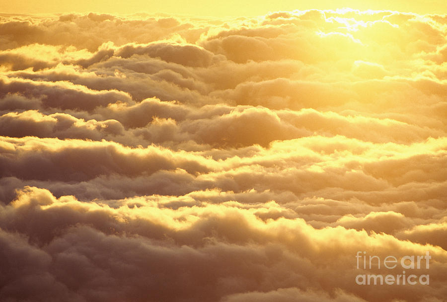 Bed Of Puffy Clouds Photograph by Carl Shaneff - Printscapes