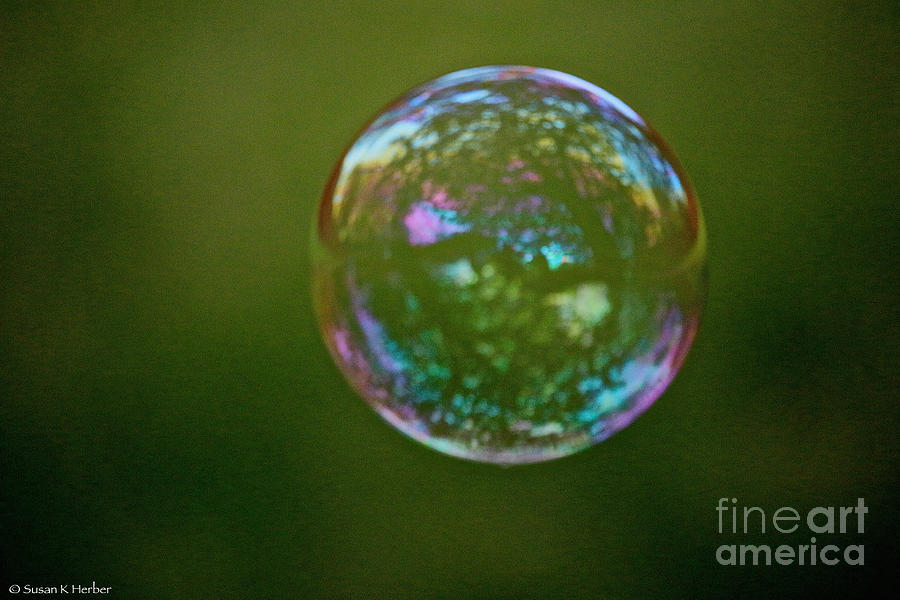 Bedazzled Bubble Photograph by Susan Herber