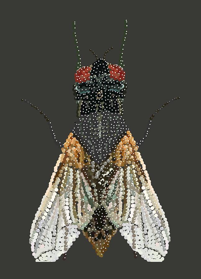 Bedazzled Housefly Transparent Background Digital Art by R  Allen Swezey