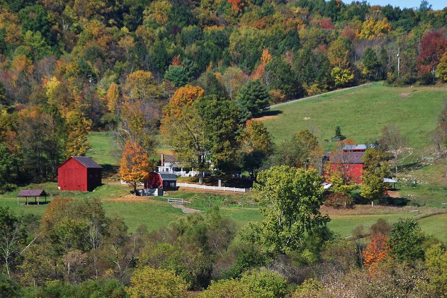 Bedlam Farm 8339a Photograph by Guy Whiteley - Fine Art America