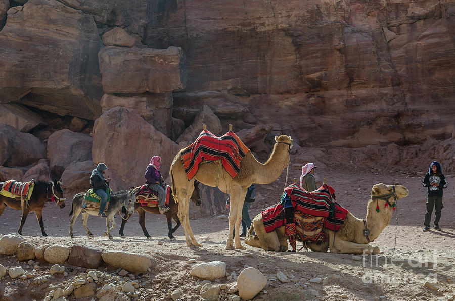 Bedouin Tribesmen, Petra Jordan Photograph by Perry Rodriguez