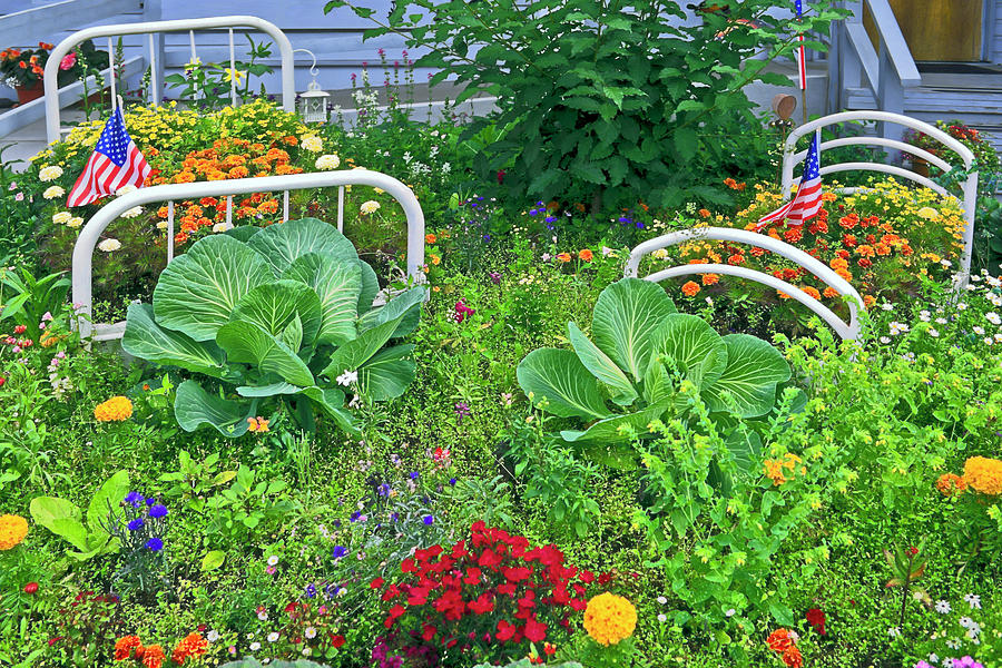 Beds in the Garden Photograph by Sally Weigand