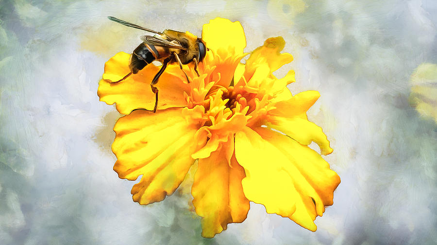 Bee Digital Art