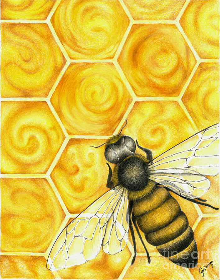 Bee and Drawing by Darley Fine Art America