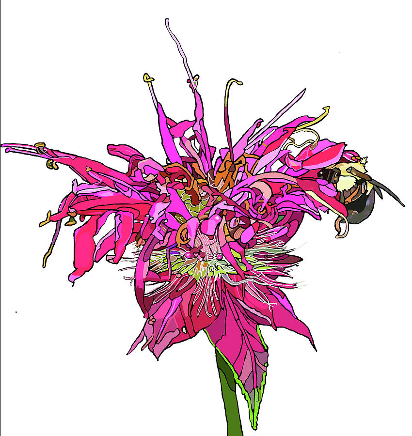 Bee Balm Painting by Jamie Downs