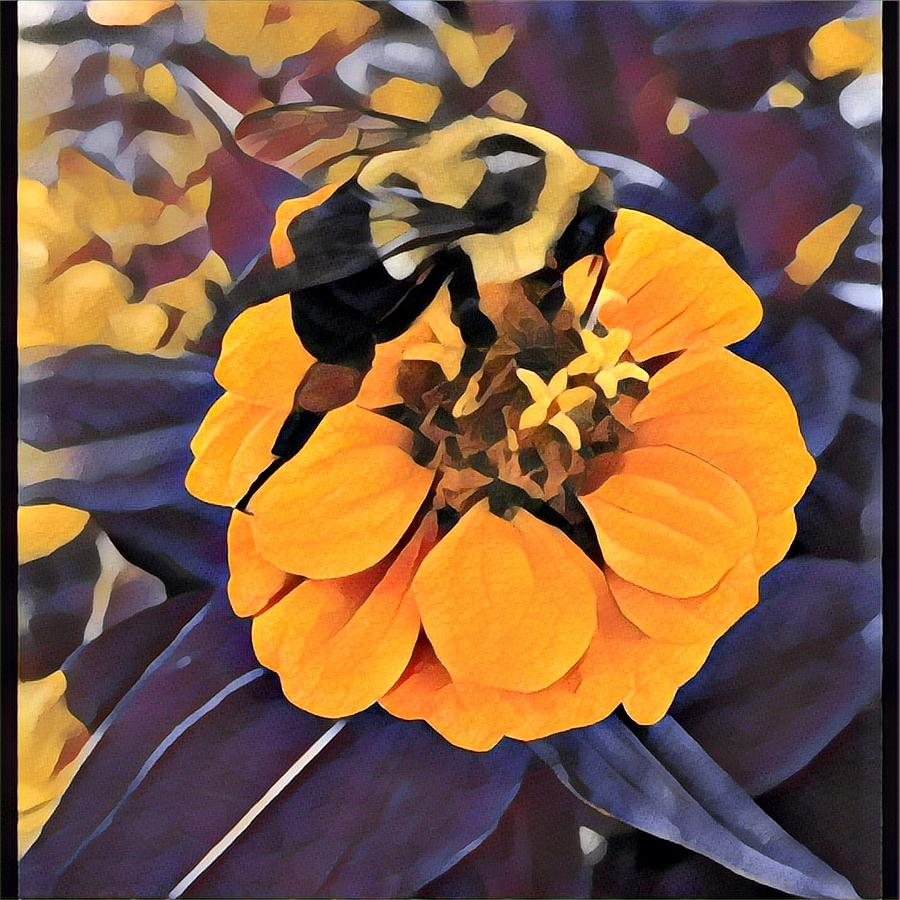 Bee Photograph by David Matthews