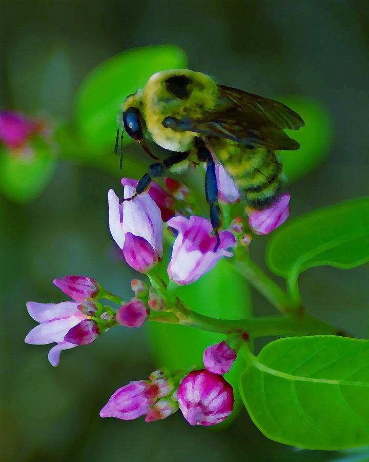 Bee Good 2 Photograph by Ben Upham III