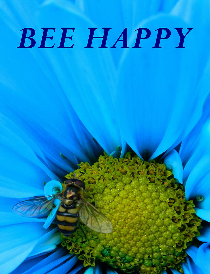 Bee Happy Photograph by Gallery Of Hope 