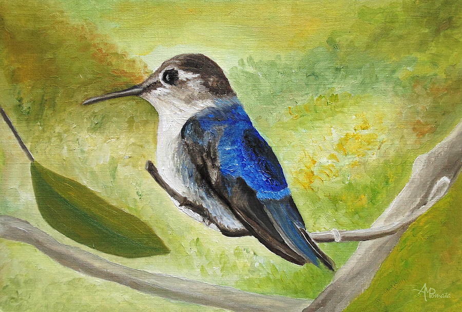 Hummingbird Painting - Bee Hummingbird by Angeles M Pomata