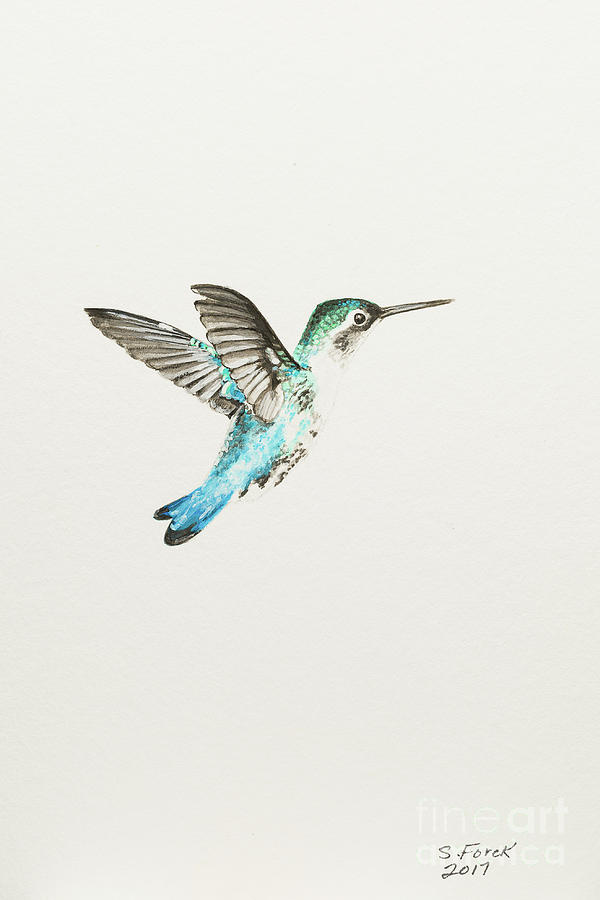 Bee hummingbird Painting by Stefanie Forck