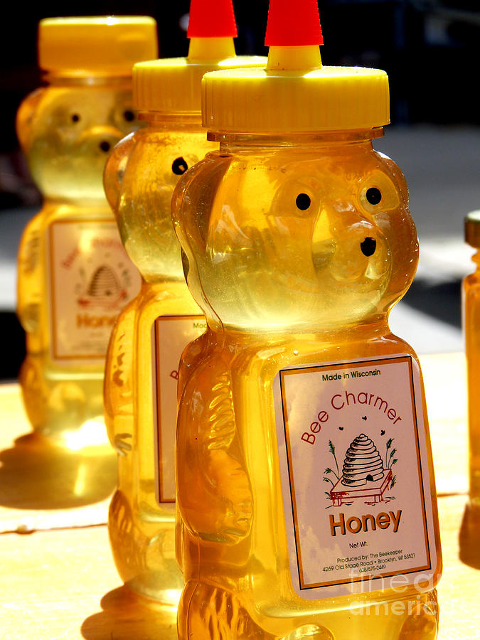 Bee my honey Photograph by David Bearden