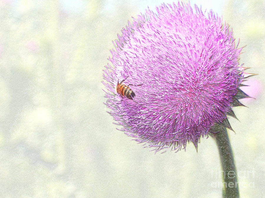 Bee on Giant Thistle Digital Art by Craig Walters