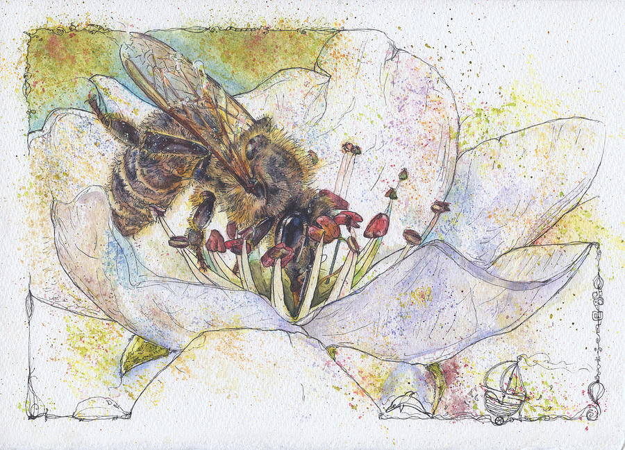Bee on Pear Blossom - No bees no pears. Painting by Petra Rau