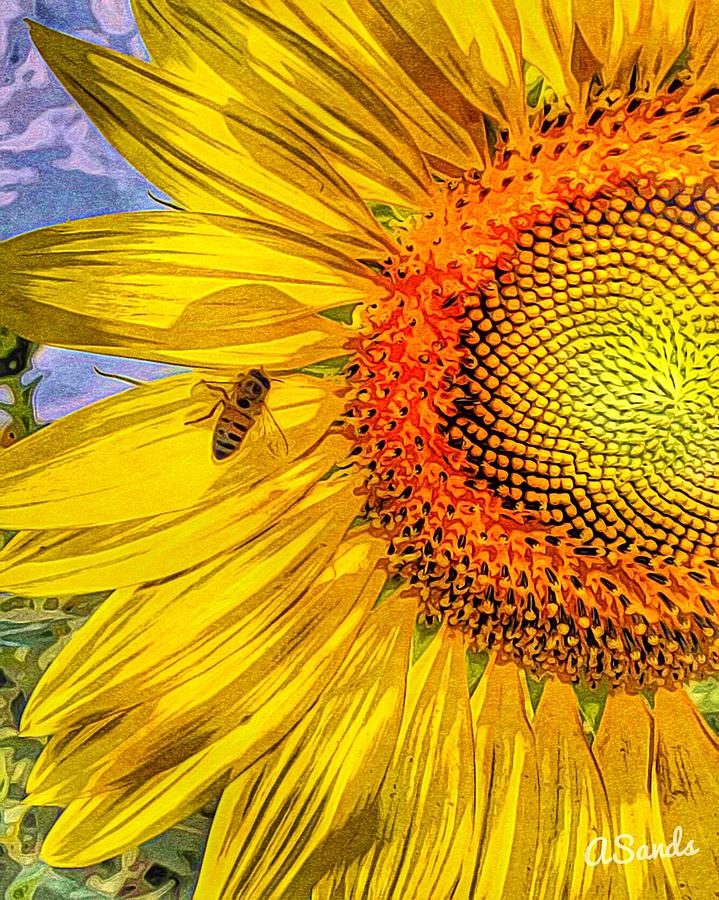 Bee on Sunflower Digital Art by Anne Sands