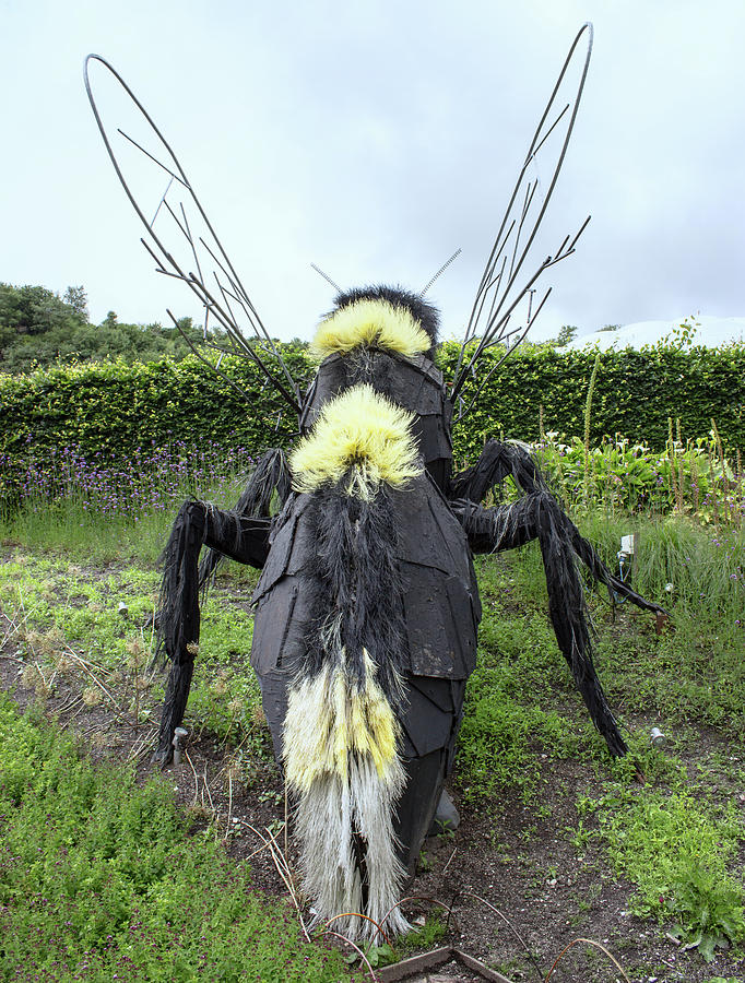 Nature Photograph - Bee Sculpture by Martin Newman