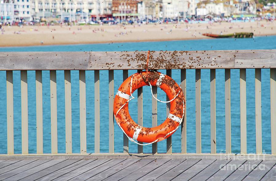 Bee swarm on Hastings pier Photograph by David Fowler