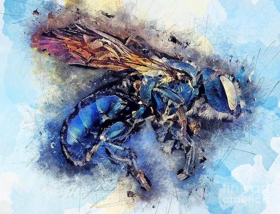 Bee watercolor art Painting by Justyna Jaszke JBJart