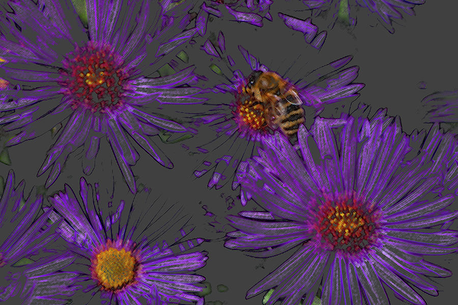 Bee with Asters on gray Photograph by ShaddowCat Arts - Sherry