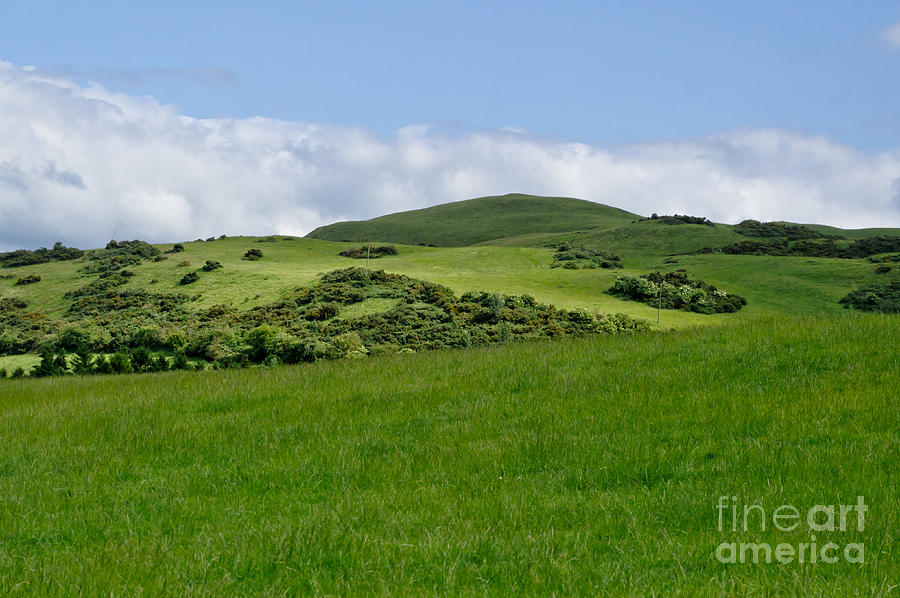 Beecraigs Hills. Photograph by Elena Perelman